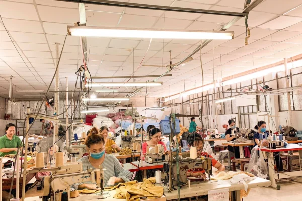 xưởng may local brand